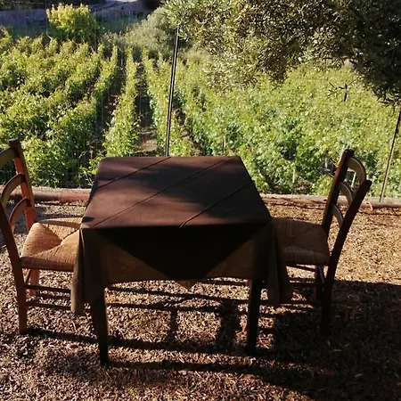 Appartement Monolocale Pisturri Magomadas