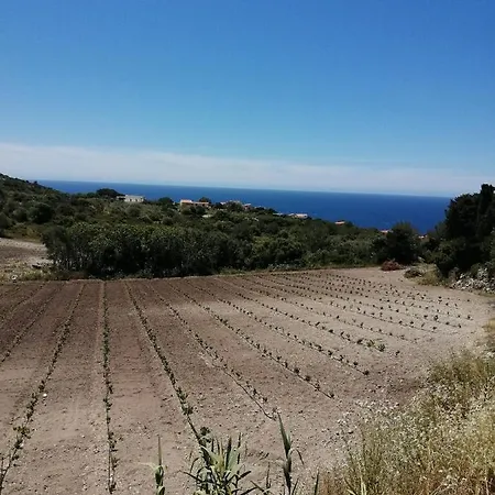 Lejlighed Monolocale Pisturri